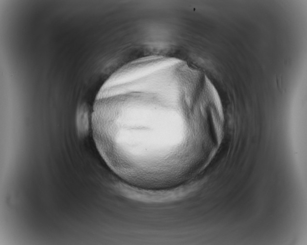 X0000085780042200703301435