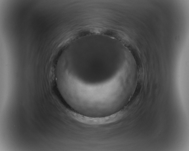 X0000085780043200703301435