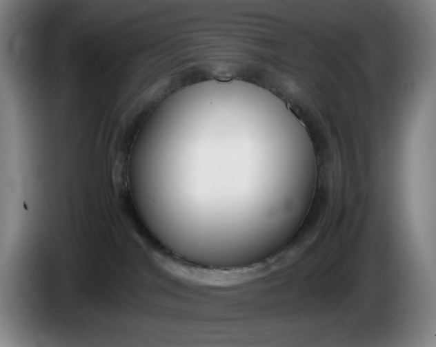 X0000085780044200703301435