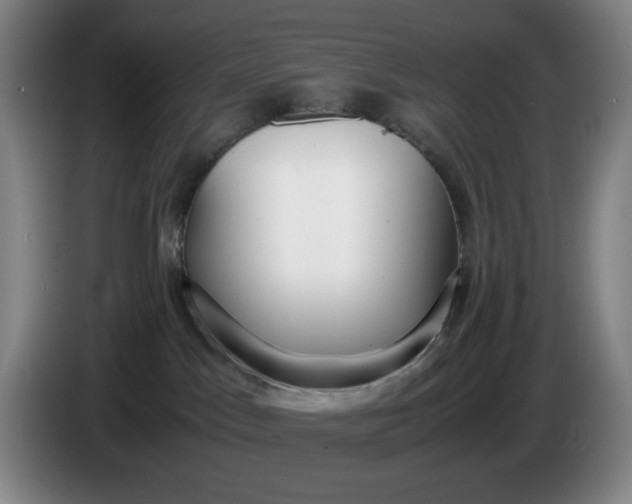 X0000085780045200703301435