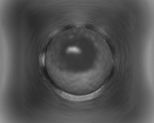 X0000085780047200703301435