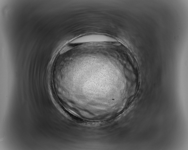 X0000085780049200703301434