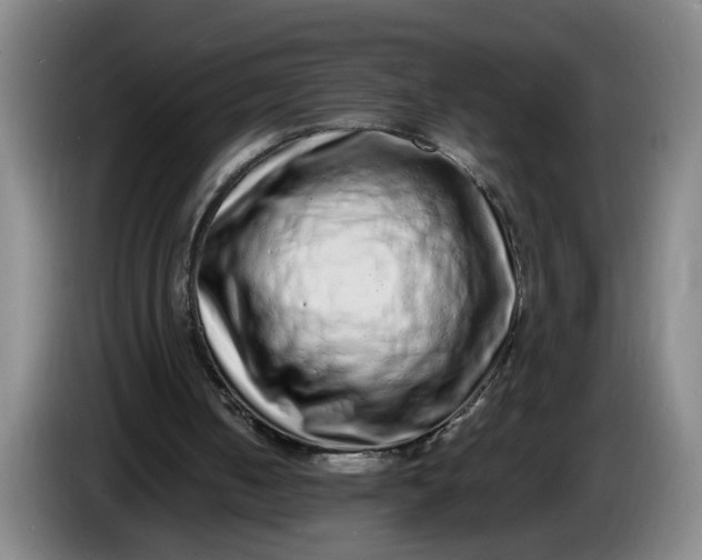 X0000085780050200703301434