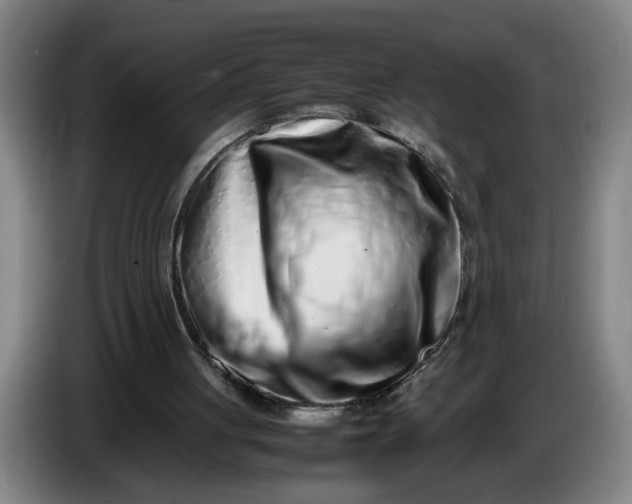 X0000085780051200703301434