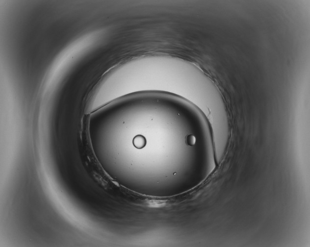 X0000085780052200703301434