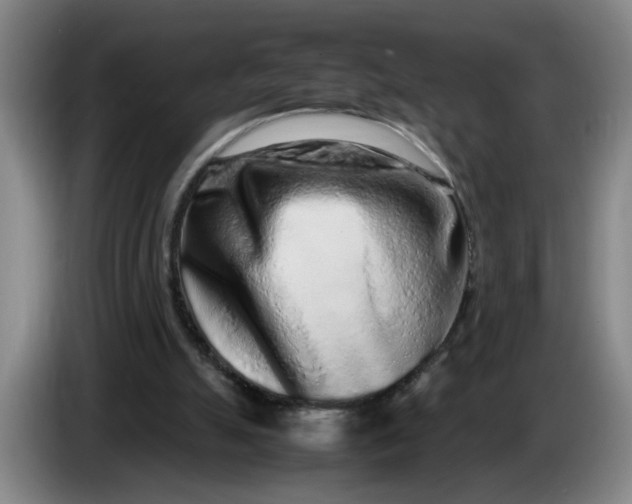 X0000085780055200703301434