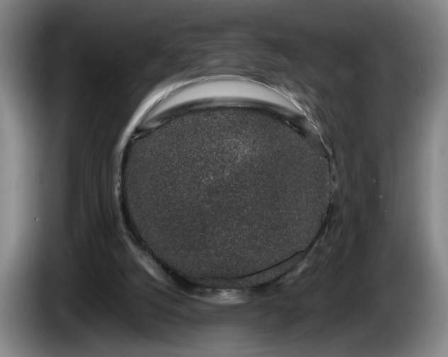 X0000085780056200703301434