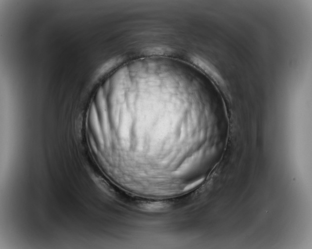 X0000085780058200703301434