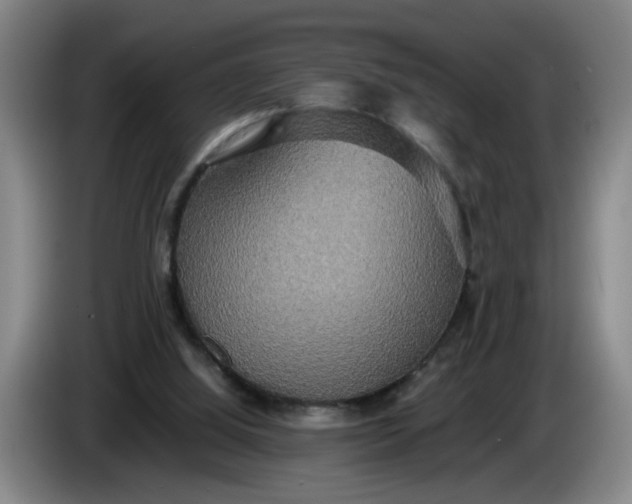 X0000085780060200703301434