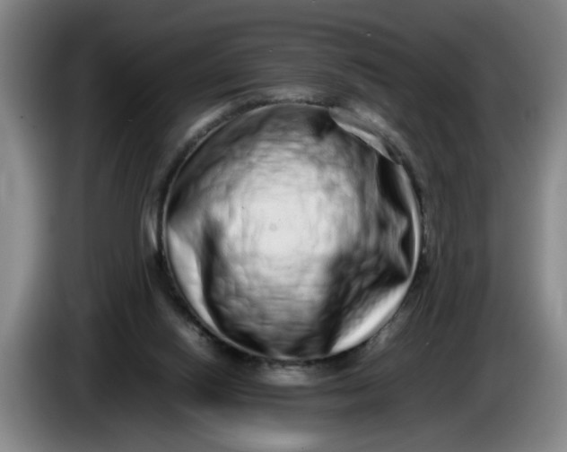 X0000085780062200703301434