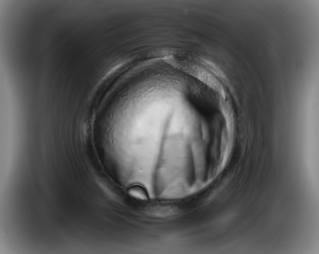 X0000085780063200703301434