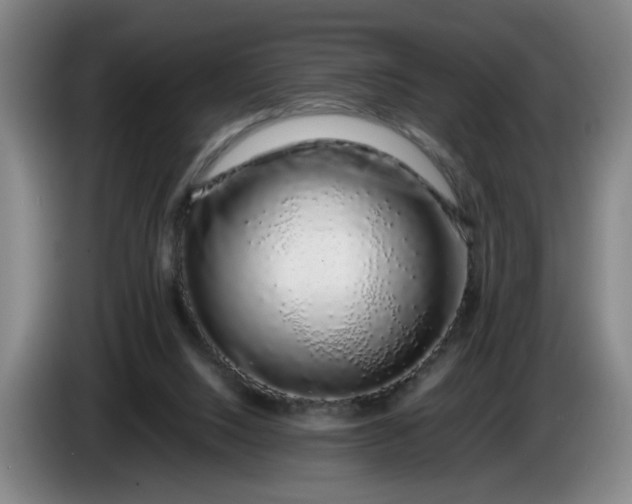 X0000085780064200703301434