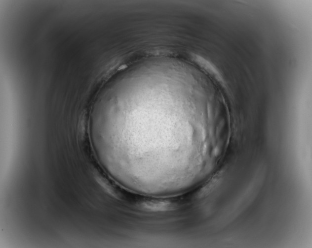 X0000085780065200703301434