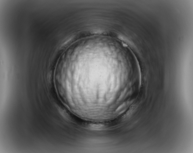 X0000085780066200703301434