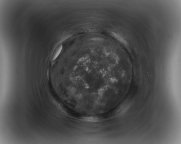 X0000085780067200703301434