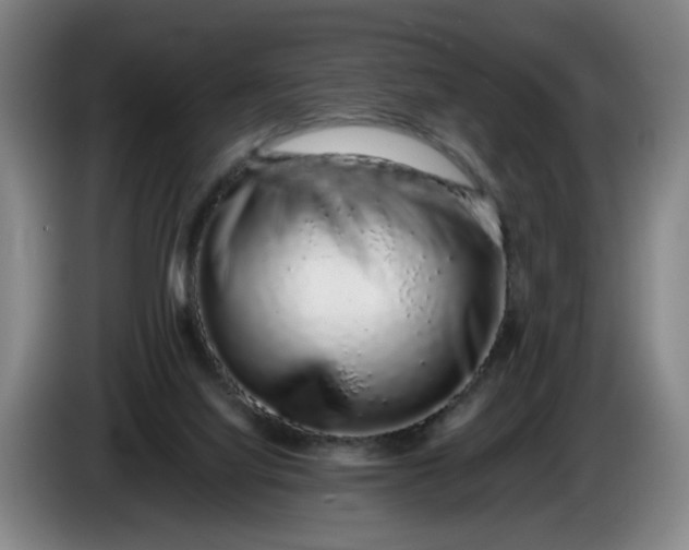 X0000085780068200703301434