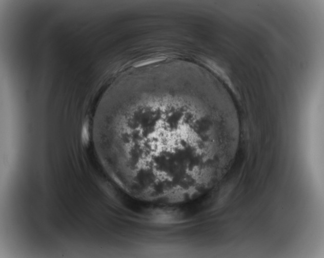 X0000085780069200703301434