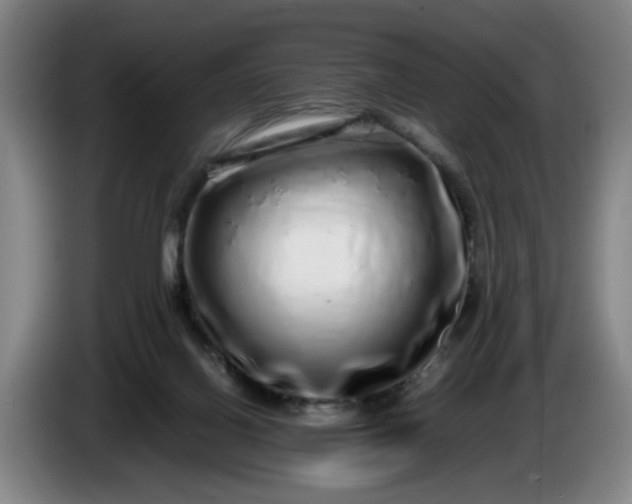 X0000085780070200703301434