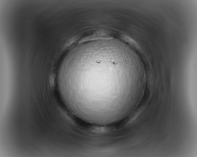 X0000085780071200703301434