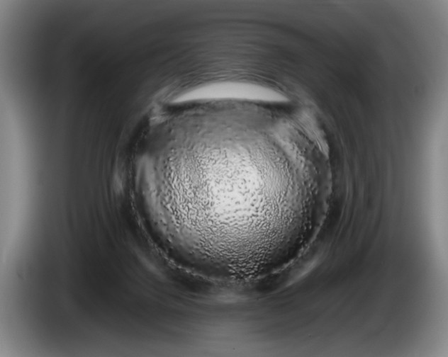 X0000085780072200703301434