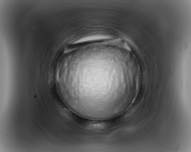 X0000085780073200703301434