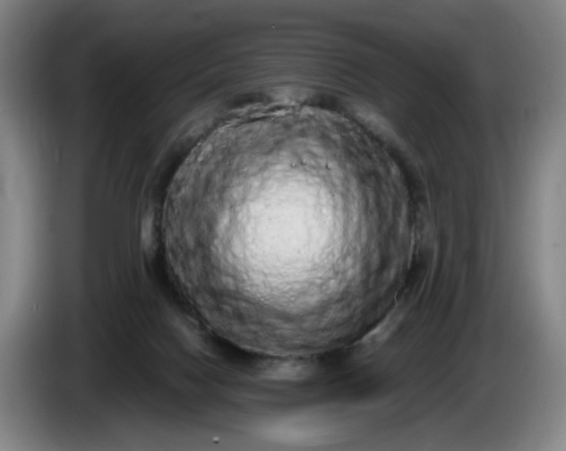 X0000085780074200703301434