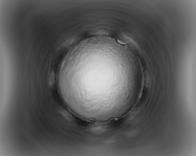 X0000085780077200703301434