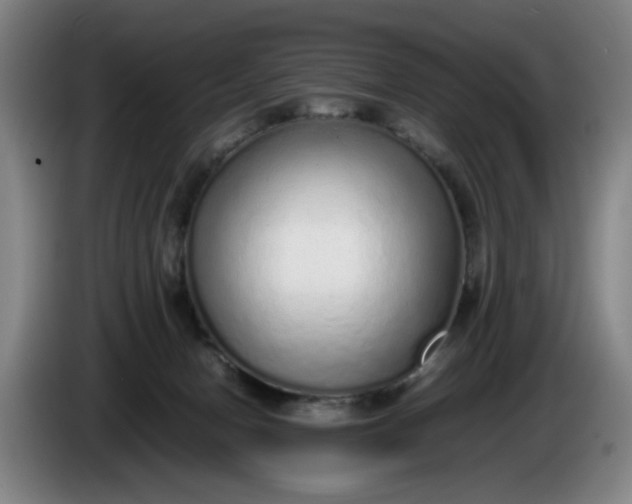 X0000085780078200703301434