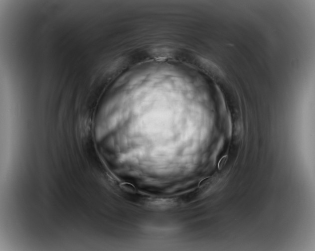 X0000085780081200703301434