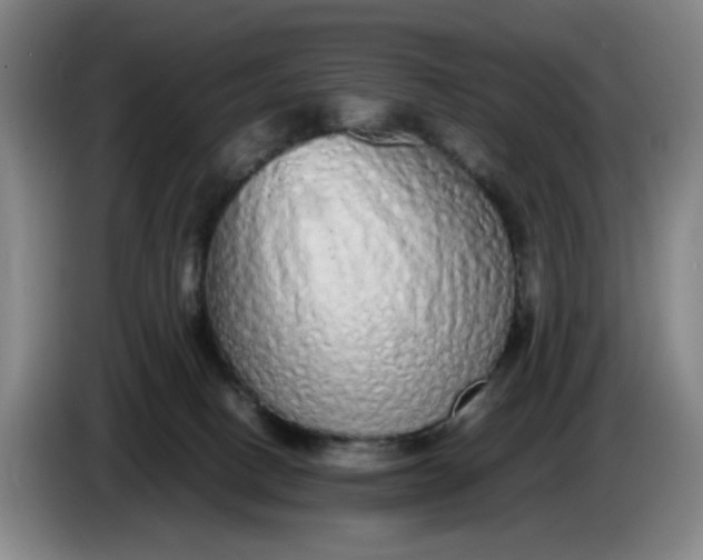 X0000085780082200703301434