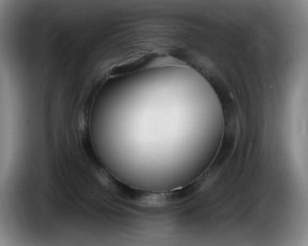 X0000085780084200703301434