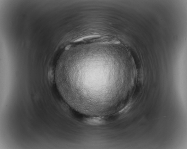 X0000085780086200703301434