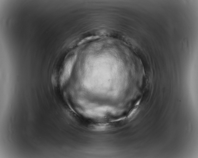 X0000085780090200703301434