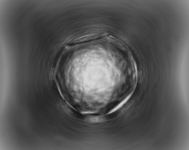 X0000085780093200703301434