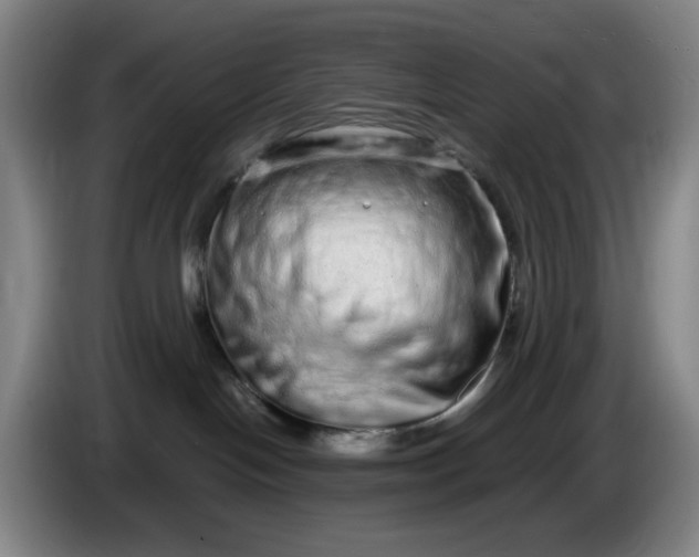 X0000085780094200703301434