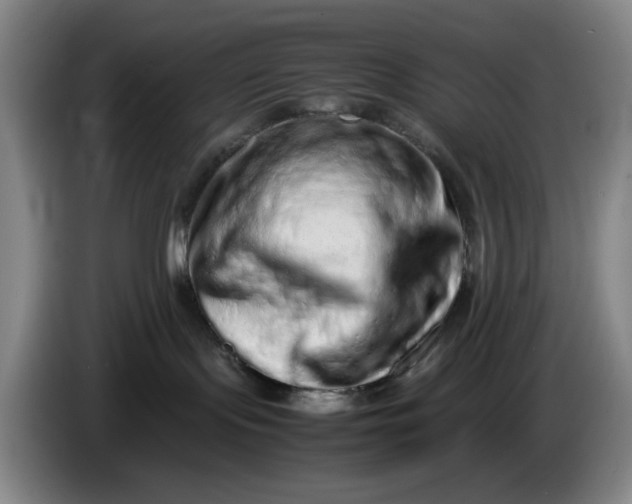 X0000085780095200703301434