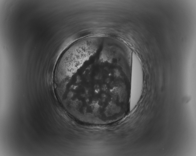 X0000085780099200703301434