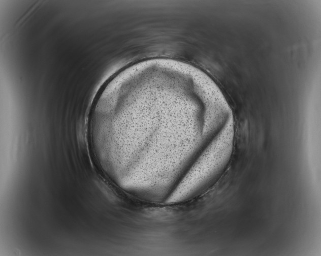 X0000085780100200703301434