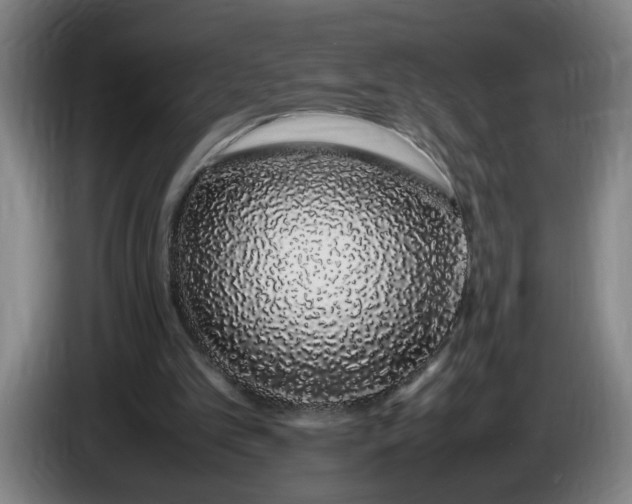 X0000085780101200703301434