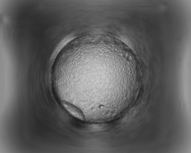 X0000085780103200703301434