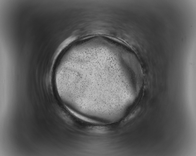 X0000085780104200703301434