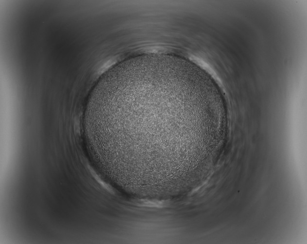 X0000085780105200703301434