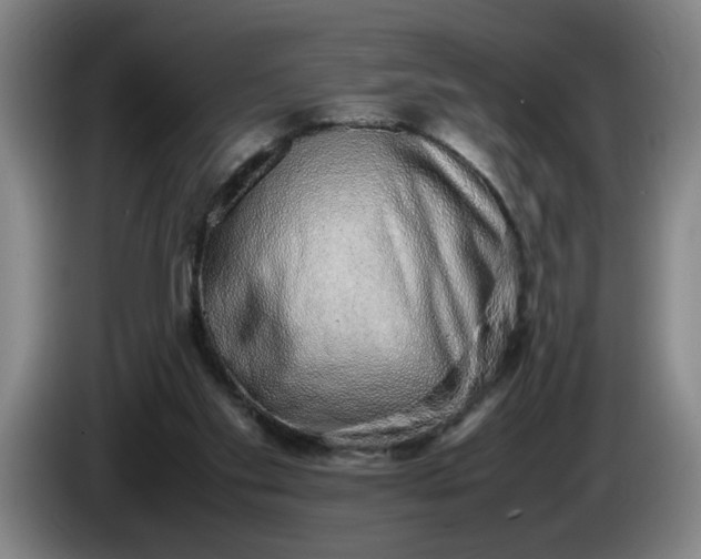 X0000085780109200703301434