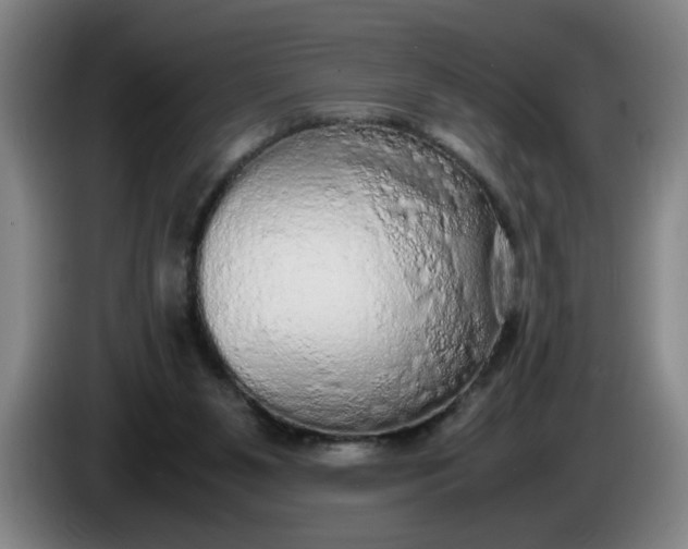 X0000085780111200703301434