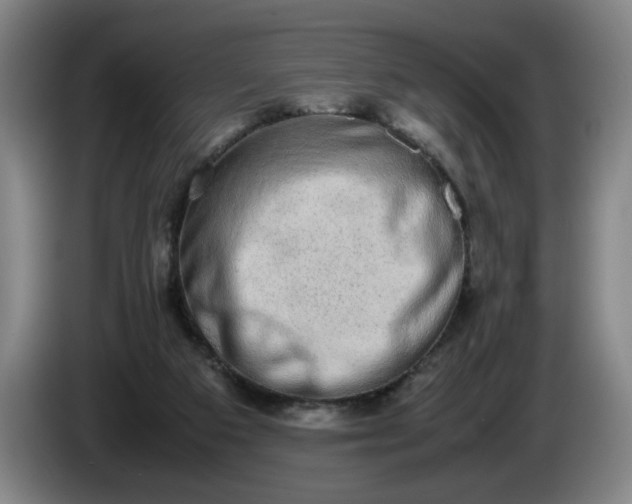 X0000085780113200703301434