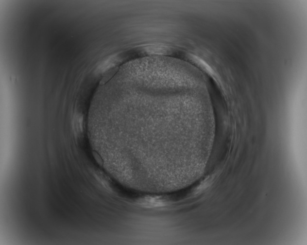 X0000085780117200703301434