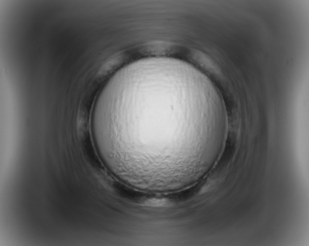 X0000085780119200703301434