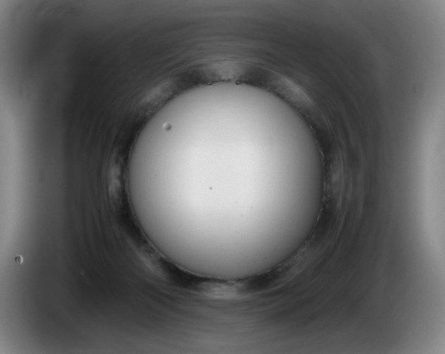 X0000085780122200703301433