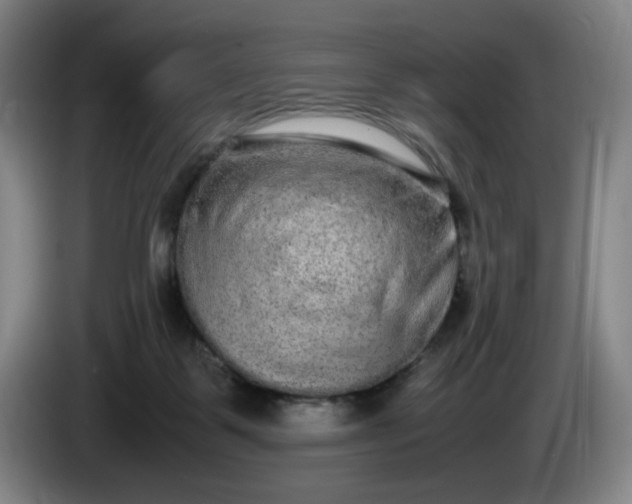 X0000085780123200703301433