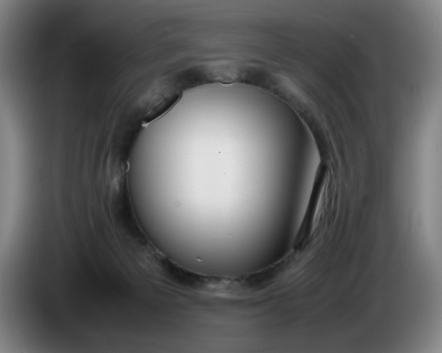 X0000085780125200703301433